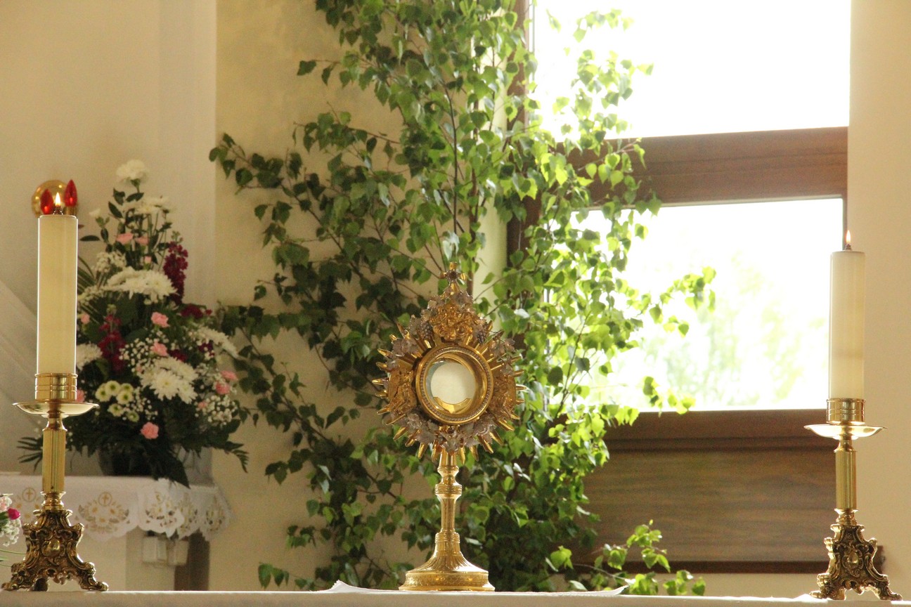 Foto003