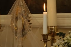 Photos