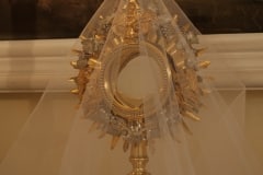 Photos_14