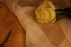 Photos_2