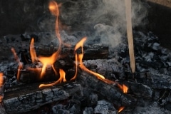 Photos_5